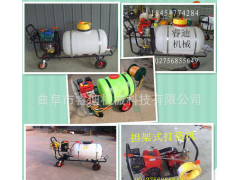 汽油噴霧器打藥機(jī)噴霧機(jī) 農(nóng)業(yè)植保機(jī)械不銹鋼彌霧