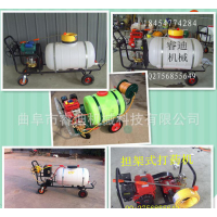 汽油噴霧器打藥機(jī)噴霧機(jī) 農(nóng)業(yè)植保機(jī)械不銹鋼彌霧