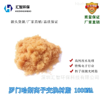 AMBERJET 1000NA進(jìn)口羅門哈斯1000NA離子交換樹脂參數(shù)-型號
